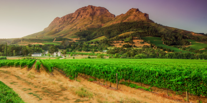 South Africa travel and safari experience